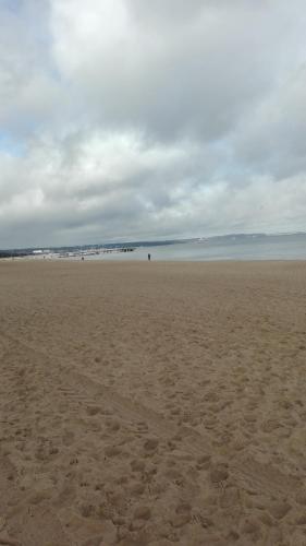 Anchor House Sopot - 해변