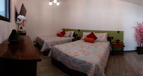 Casa Martín, Antigua Guatemala (foto 4)