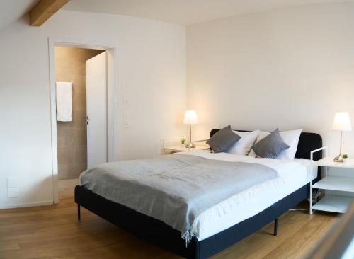 Duplex Apartment Bülach Station (Duplex Apartment Bulach Station) in 比拉赫