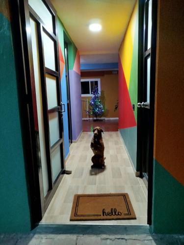 Hostal mil colores in El Cocuy
