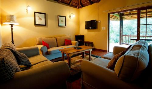 Amafu Forest Lodge - Tap to explore photos