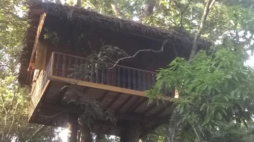 Tree House-Midigama