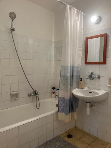 Desert View in 米提茲普拉蒙