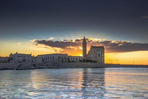 My Room in Trani - image 4