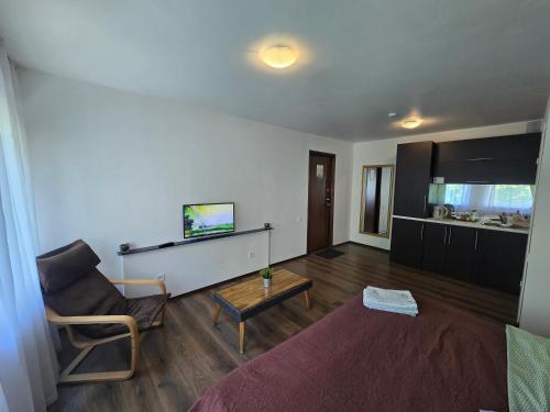 Z14 River studio apartment - image 2