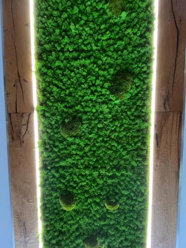 Chalmettes Lune Étoilée - Location saisonnière - Montgenèvre