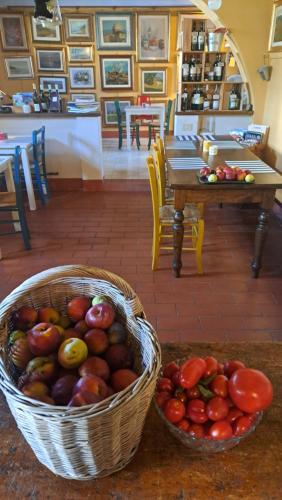 B&B La corte di Stelio – Pisa, MN