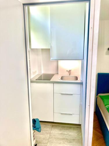 Apartment Studio Med Uni Wien, Vienna (photo 7)