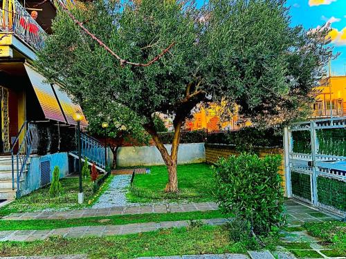 Guest House Demma 3