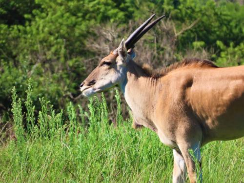 A környék, Fountainhill Estate Accommodation in Wartburg