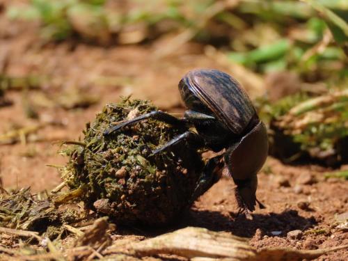 A környék, Fountainhill Estate Accommodation in Wartburg