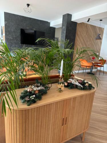 Pensiunea Magic in Baile Govora