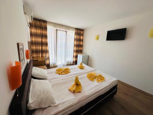Hotel Energy – Kiten