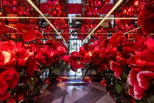 The Curtain - image 7