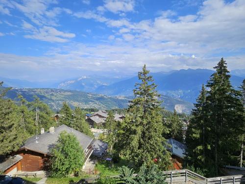 Vue 180 - Au pied des pistes - Typique et alpin, Anzere (fotografie 7)