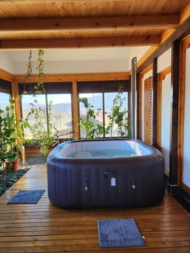 Pezsgőfürdő, Studio Amalia in Cisnadioara