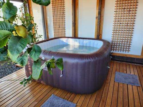 Pezsgőfürdő, Studio Amalia in Cisnadioara