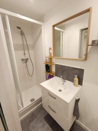 Nid Cosy et Sauna Privé & Proche Centre Strasbourg & Kehl, Strasbourg (photo 9)