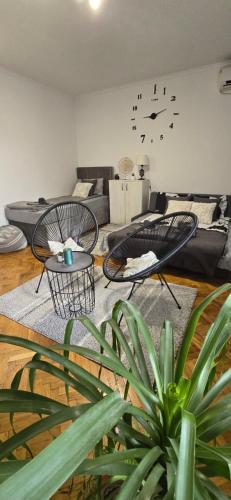 Aparmani Djuric in เคิร์ตวารอช