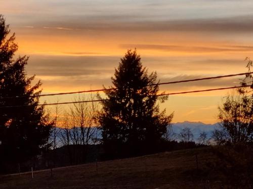 Apartment with Garden View