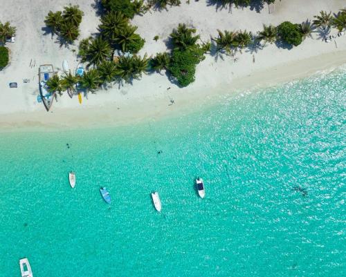 Arutha Resorts Ocho Lux by Eight Continents Arutha Resorts Ocho Lux by Eight Continents