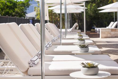 The Hotel Zamora - image 10