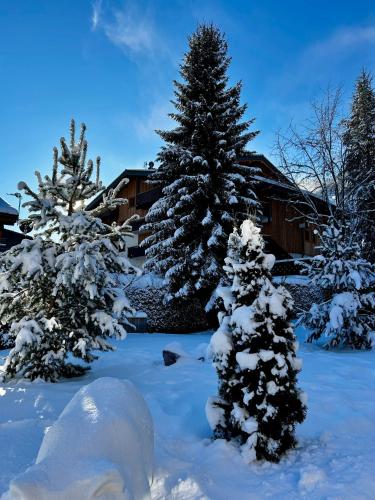 Bel'alpe - image 6