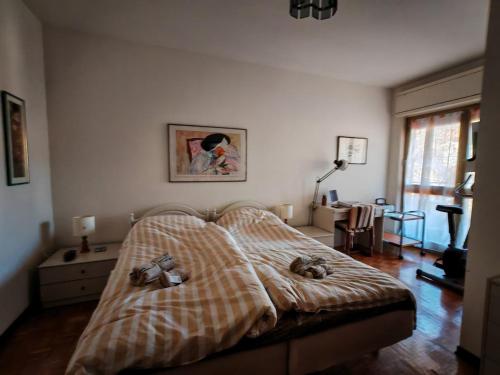 Spacious family home in Ravascletto in Ravascletto