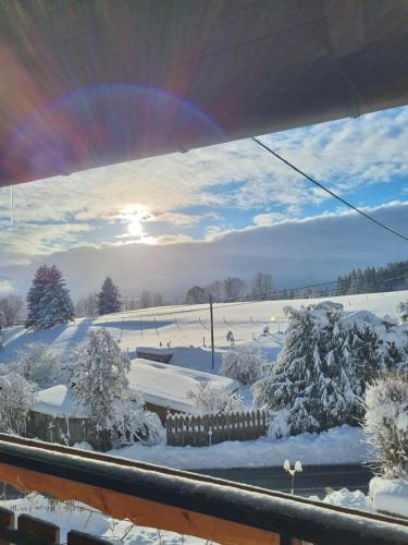 Gästehaus Bartlehof - Apartment - Schluchsee