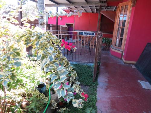 Ingresso, CreaDora in Alto Boquete