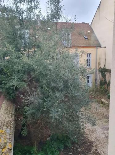 Appartement moderne à Limeil-Brévannes de 56 m² avec jardin - Location saisonnière - Limeil-Brévannes