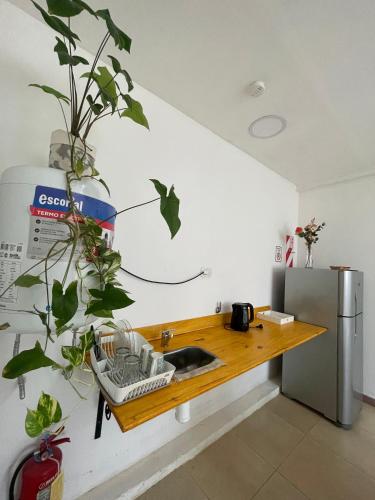 El Remanso in 산 로렌소