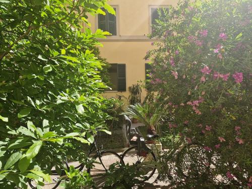 Home Rome Borsieri, Rom (Foto 9)