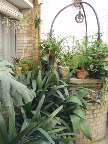 Hotel San Andres - image 11