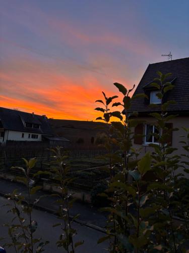 L'escapade des Vignes in Bennwihr