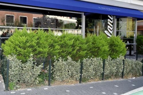Levent Lavandula Hotel, Istanbul (photo 4)