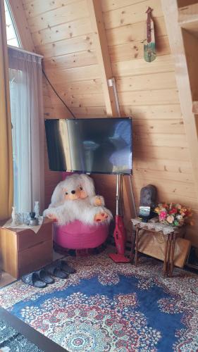 Kotej, Batumi (foto 3)