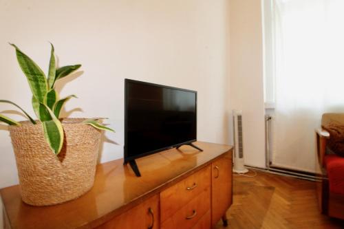 BRIGHT ELEGANT FLAT in Center - Tap to explore photos