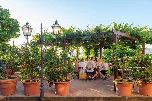 Podere Sette Piagge in โอร์วิเอโต