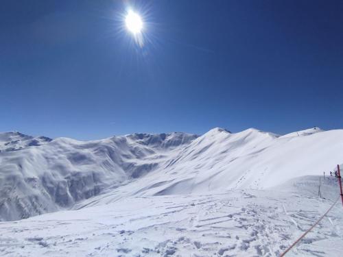 Appartement les Orres 1800 Appartement les Orres 1800