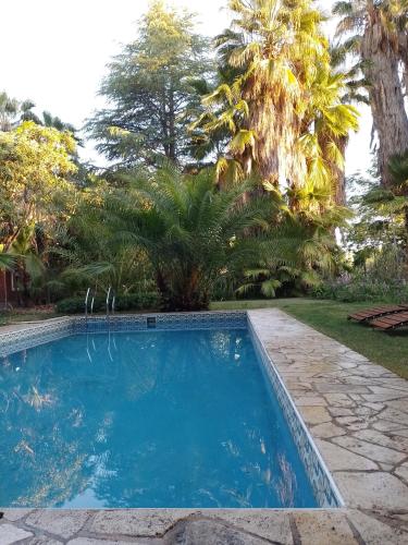 Waldhaus, la casa del bosque in San Martín (Mendoza)