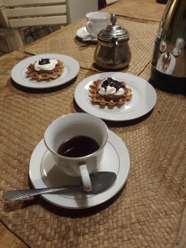 Waldhaus, la casa del bosque in San Martín (Mendoza)