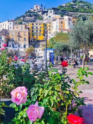 Mela & Cannella accommodation, Minori (foto 7)