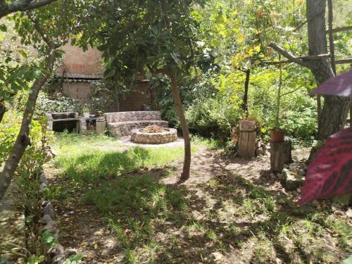 Cheerful little cottage, with a grill and campfire area