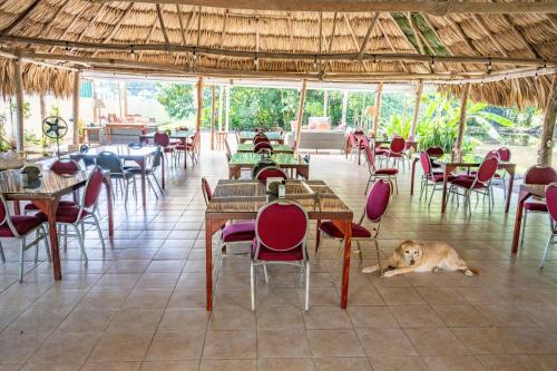 Restaurante, Drift Inn Cayo in San Ignacio