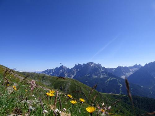 Refugium Dolomiten & Chalet