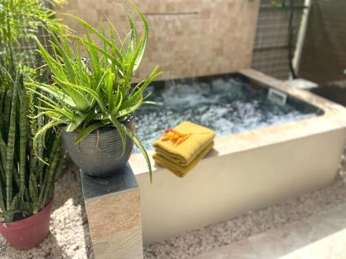 Logement tout confort à 1 minute à pied de la mer