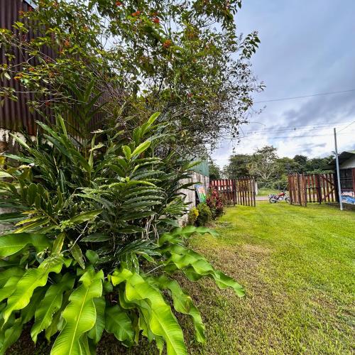 花園, Cabinas Caño Negro (Cabinas Cano Negro) in 卡尼奧內格羅