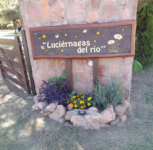 Luciérnagas del Rio