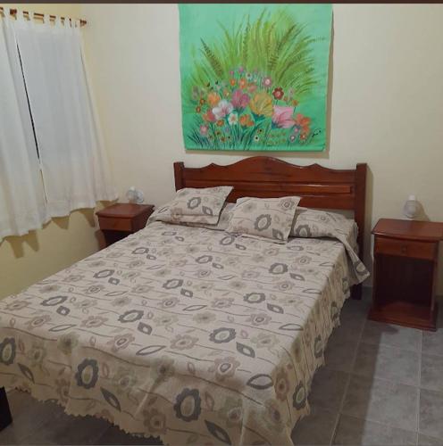 Luciérnagas del Rio